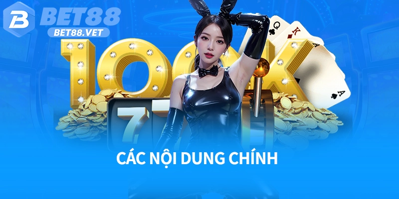 Các nội dung chính trong điều khoản điều kiện