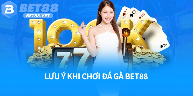 Lưu ý khi chơi đá gà Bet88