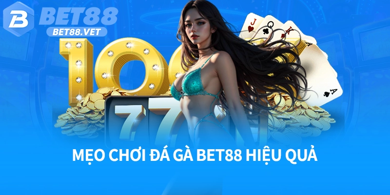 Mẹo chơi đá gà Bet88 hiệu quả