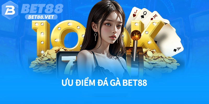 Ưu điểm đá gà Bet88